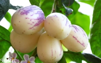 香瓜茄孕婦可以吃嗎？香瓜茄功效多