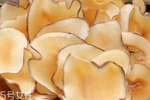 海底椰怎么吃？海底椰的做法