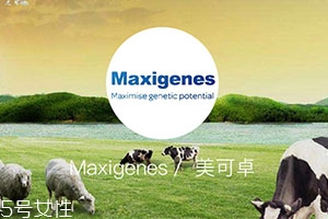 藍胖子奶粉適合什么人？成人可以喝嗎？
