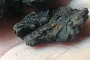 老茶頭怎么泡？泡錯(cuò)了就不好喝了