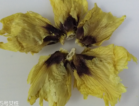 秋葵花怎樣曬干？自然風(fēng)干最佳