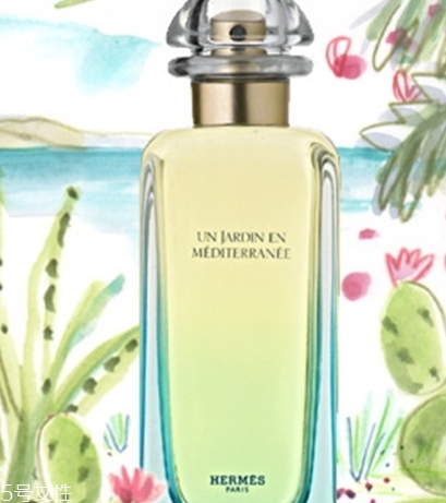 dior迪奧香水和愛馬仕香水哪個(gè)好？