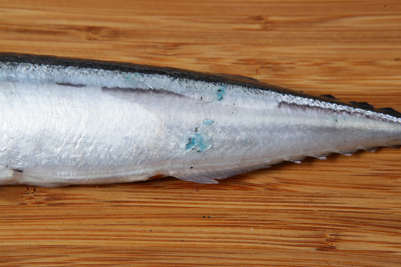 秋刀魚怎么處理？秋刀魚怎么挑選