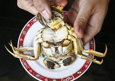 陽澄湖大閘蟹怎么吃？食陽澄湖大閘蟹注意事項