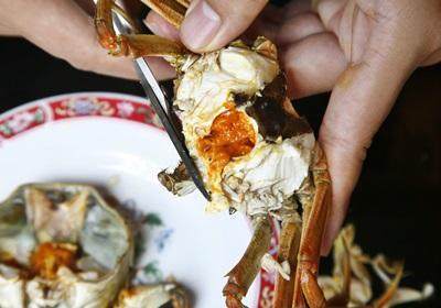 陽澄湖大閘蟹怎么吃？食陽澄湖大閘蟹注意事項