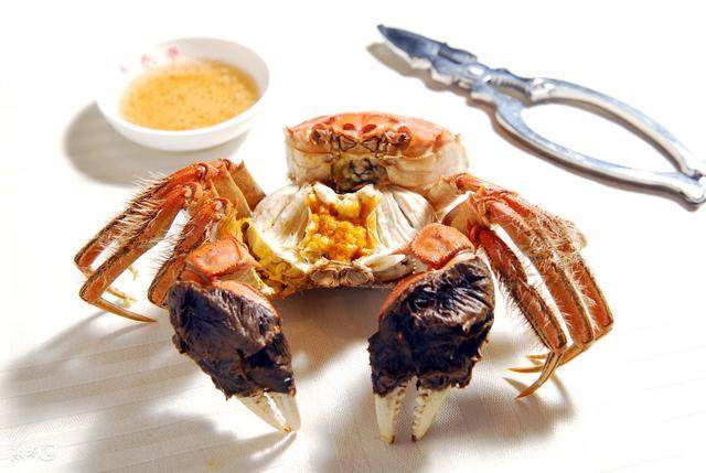 陽澄湖大閘蟹怎么吃？食陽澄湖大閘蟹注意事項