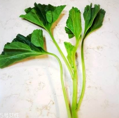 冬寒菜多少錢一斤？