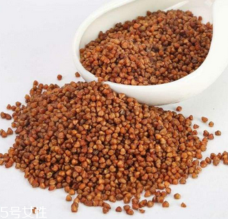 黑苦蕎茶上火嗎？蒸煮法苦蕎茶不上火