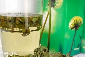 蒲公英茶哪些人不宜喝？這三種人要避開(kāi)