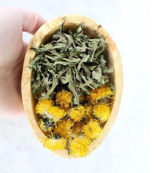 蒲公英茶哪些人不宜喝？這三種人要避開