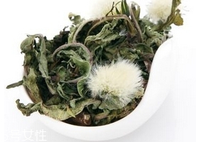 蒲公英茶怎么做？蒲公英茶做法超簡(jiǎn)單