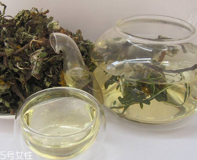 蒲公英茶怎么做？蒲公英茶做法超簡單