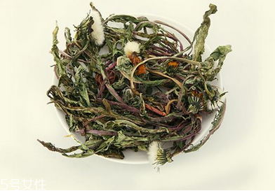 蒲公英茶怎么做？蒲公英茶做法超簡單
