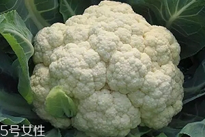 花椰菜可以生吃嗎？熱水殺毒可食用