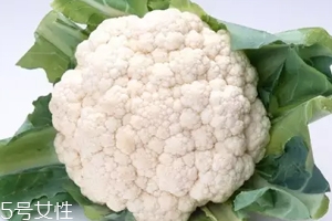 花椰菜吃的是什么部位？花苞部位最營養(yǎng)