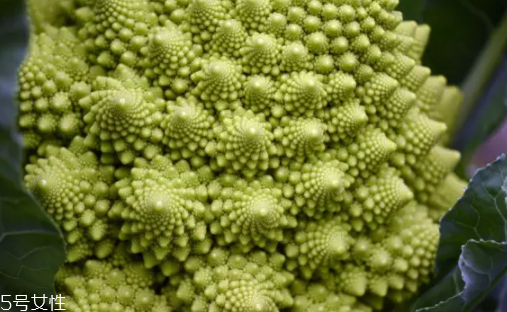 花菜在冰箱能放幾天？不要超過7天