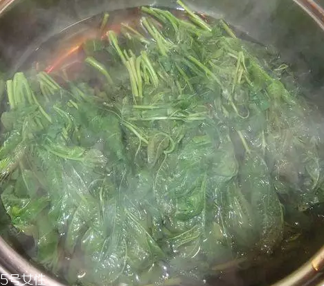 香椿涼拌怎么做好吃？超級簡單的3道開胃菜