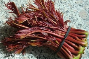 香椿涼拌怎么做好吃？超級簡單的3道開胃菜