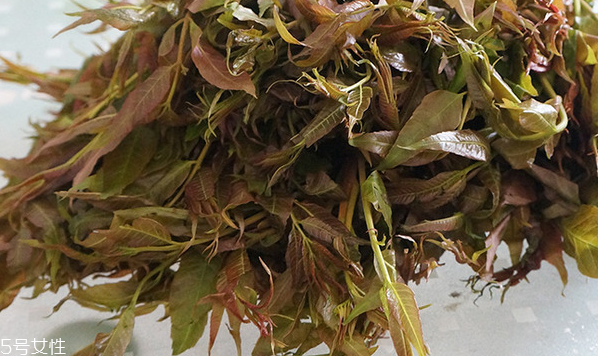 香椿水餃怎么做好吃？超詳細(xì)香椿豆腐餃子做法