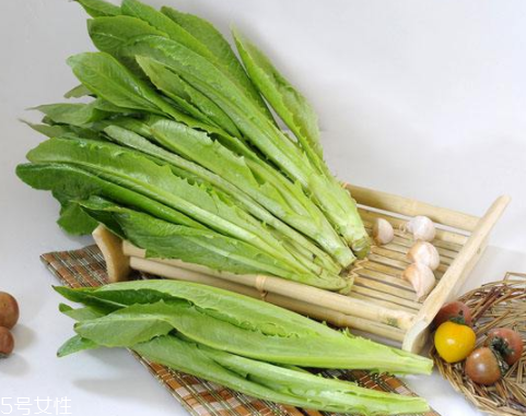 油麥菜怎么涼拌好吃？加點(diǎn)麻醬調(diào)味
