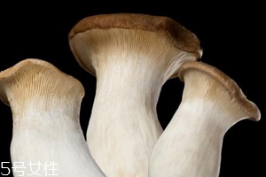 杏鮑菇怎么洗才干凈？鹽水泡泡輕松去污