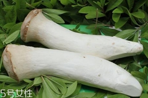 杏鮑菇熟了是什么樣？變軟了就能吃