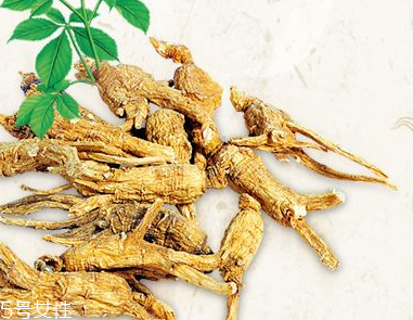 西洋參會過敏嗎？不排除這種可能