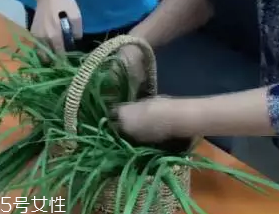 韭菜怎么保存時(shí)間長？真空保存最持久