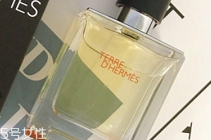 愛馬仕大地香水好聞嗎？香味濃烈卻清新