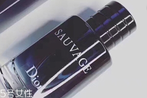 迪奧曠野和桀驁哪個(gè)好？曠野香水適合暖男