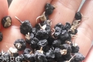 黑枸杞為什么是藍色？花青素的原因