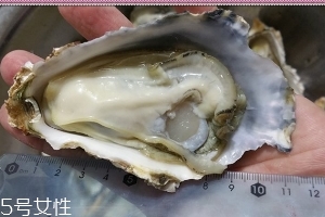 生蠔會有寄生蟲嗎？不生吃就沒關(guān)系