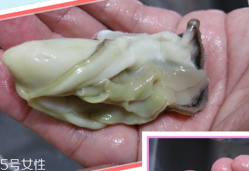 生蠔會有寄生蟲嗎？不生吃就沒關(guān)系
