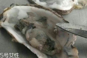 生蠔會(huì)上火嗎？烤生蠔易上火
