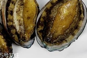 鮑魚罐頭好吃嗎？味道還可以