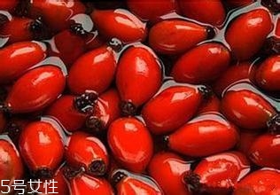痘痘能用玫瑰果油嗎？愈合之后少量用