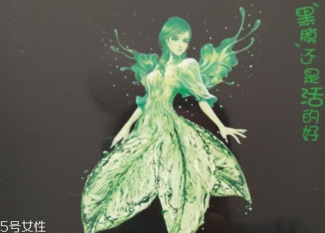 韓妙和我的美麗日記是什么關系？