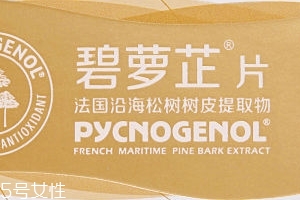 碧蘿芷到底好不好？帶你了解碧蘿芷