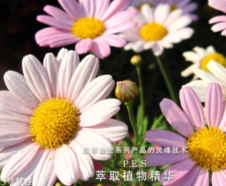歐萃碧護(hù)膚品怎么樣？法國(guó)藥妝品牌