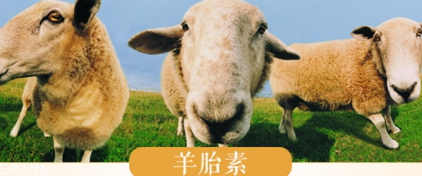 羊胎素和玻尿酸哪個好？