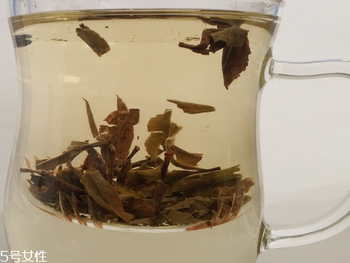 白牡丹茶多少錢一斤？180元左右