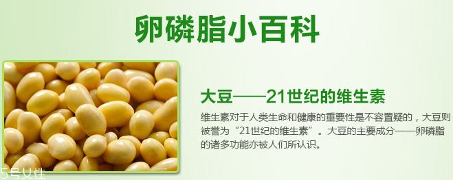 卵磷脂什么時(shí)候吃最好？早晚飯前最佳
