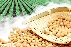 卵磷脂能和鈣一起吃嗎？分開(kāi)服用為佳