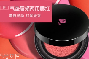 2022氣墊腮紅哪個牌子好用？