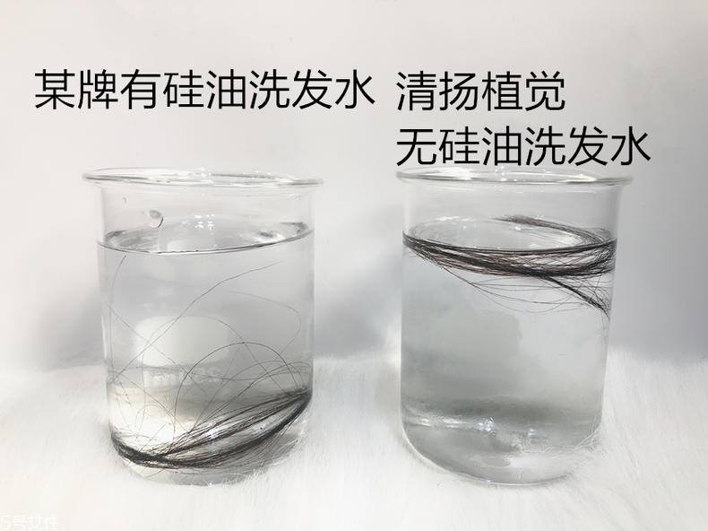 清揚(yáng)0硅油洗發(fā)水好用嗎？自帶高級(jí)感香調(diào)