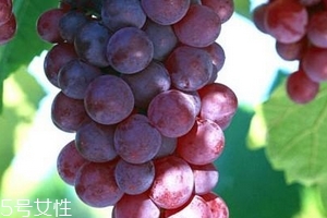 葡萄籽會(huì)推遲月經(jīng)嗎？一般不會(huì)