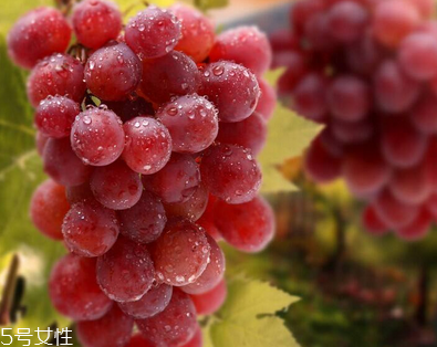 葡萄籽會(huì)長(zhǎng)痘嗎？沒(méi)有這個(gè)情況