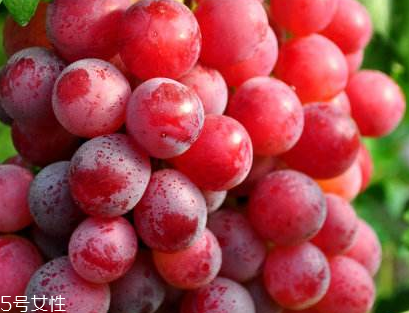葡萄籽會(huì)發(fā)胖嗎？不會(huì)發(fā)胖