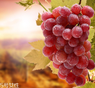 葡萄籽會(huì)影響睡眠嗎？這個(gè)肯定不會(huì)