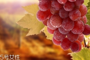 葡萄籽會便秘嗎？葡萄籽能緩解便秘